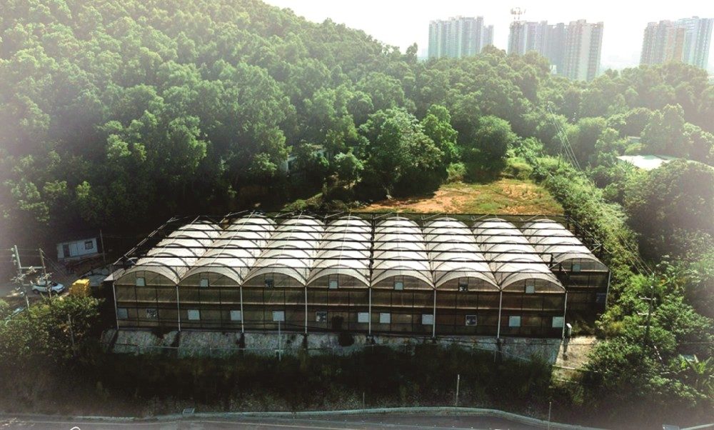 Greenhouses surrounded by greenery